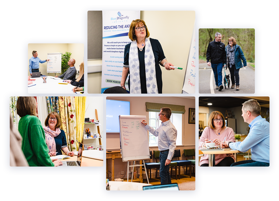 A collage of Blue Dragonfly Group at work